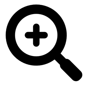 Magnify Sample Form 1